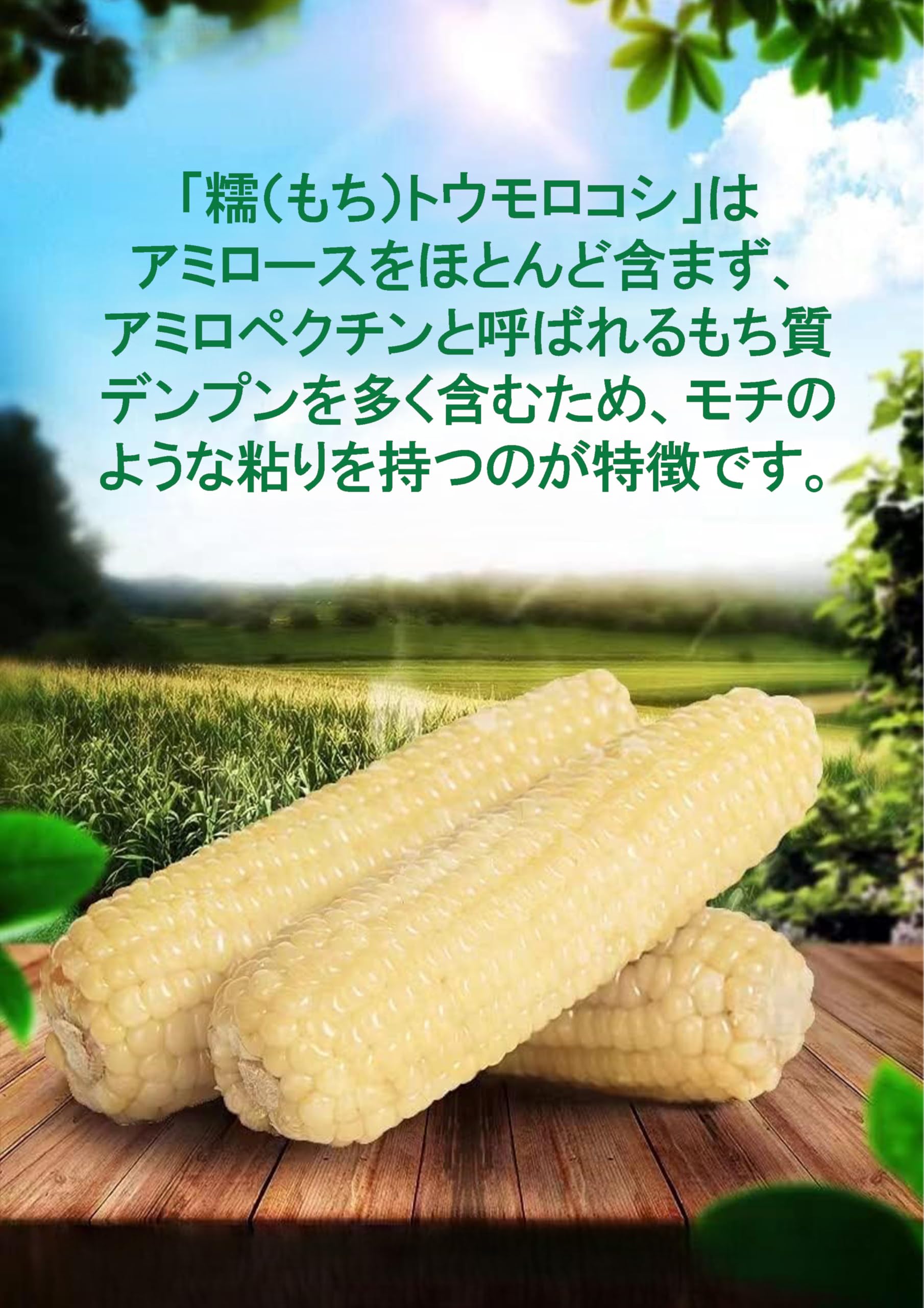 Amazon.co.jp: 【5点セット】白糯玉米棒 モチとうもろこし 5本【みのる